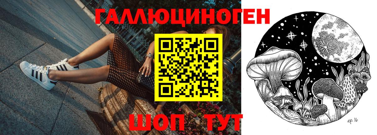Вологда  Галлюциногенные грибы Cubensis  Вход с VPN 