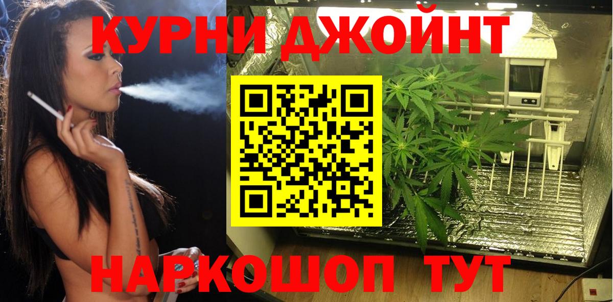 Каннабис SATIVA & INDICA Вологда